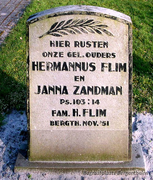 216_graf_flim-zandman.jpg