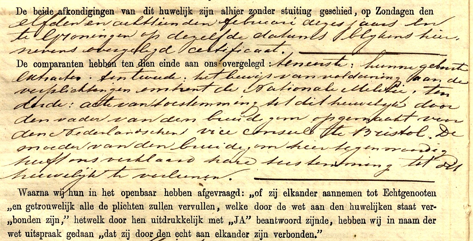 185_freieplukker_fragment-2.jpg